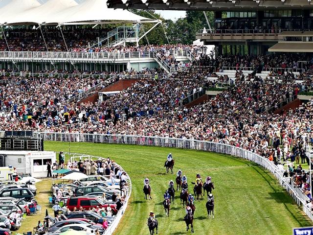 We're racing at Goodwood (pictured), Catterick, and Warwick this afternoon